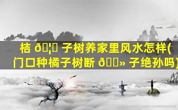桔 🦄 子树养家里风水怎样(门口种橘子树断 🌻 子绝孙吗)